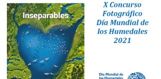 “Agua, humedales y vida”, lema del 10º Concurso Nacional de Fotografía