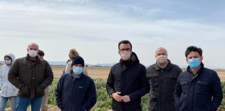 Demandan soluciones urgentes para zonas agrarias afectadas por daños de conejos