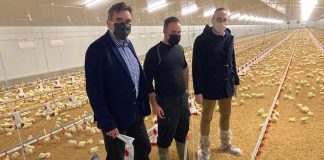 610 jóvenes se han incorporado a agricultura en provincia de Cuenca