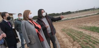 Proyecto para mejorar la productividad apícola