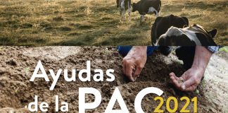 Editan un completo folleto con la información de la campaña PAC 2021