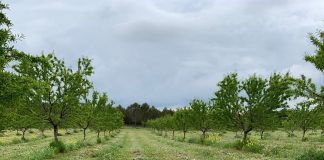Agricultores que plantan biodiversidad