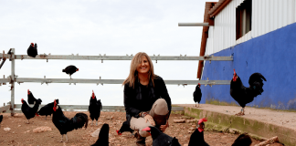 ENTREVISTA. Eloísa Perales: “El huevo de la Castellana Negra es un huevo Marca España”