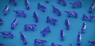 La nueva PAC entra en su recta final