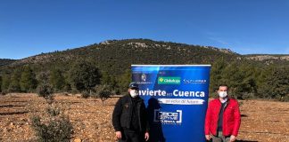 Nueva apuesta por la truficultura en la provincia de Cuenca