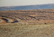Castilla-La Mancha moviliza 14,2 millones para ayudas de zonas ZEPA y de montaña ZONA ZEPA