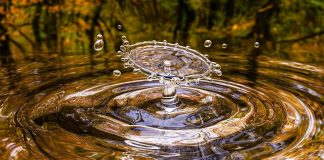 Unidad de acción y defensa de los recursos en el Día Mundial del Agua