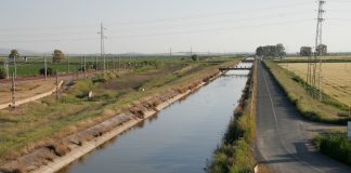 PP Castilla-La Mancha lamenta que la región perderá 615 hectómetros anuales por los nuevos planes hidrológicos de cuenca canal