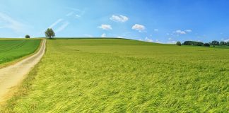 3.210 millones para financiar líneas de desarrollo rural, agrarias y pesqueras