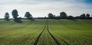 Pide una Política Agraria Común donde la ambición ambiental también permita una renta viable agricultura
