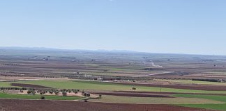 Castilla-La Mancha revisará el Plan de Gestión de las ZEPA de Aves Esteparias