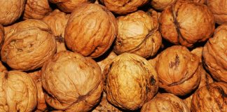 Preocupación en sector de la nuez ante comercialización de producto importado como si fuera nacional
