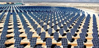 Advierten sobre las consecuencias de los macroparques fotovoltaicos para España