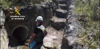 La Guardia Civil ha investigado 3.957 delitos contra el medio ambiente