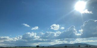 13,8 millones, saldo de la PAC al sector agrario de la provincia de Toledo