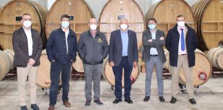 Consejo Sectorial de Agro-alimentarias de España conoce modelo vitivinícola de Castilla-La Mancha