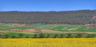 ¿Qué actividad agraria se debe realizar sobre las superficies de la explotación para cobrar la Política Agrícola Común (PAC)?