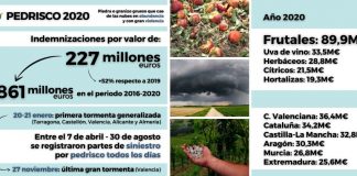 Las tormentas de pedrisco, cada vez más frecuentes y más violentas