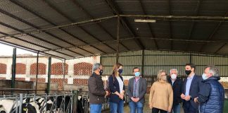 Piden bajada de impuestos para los ganaderos de Castilla-La Mancha