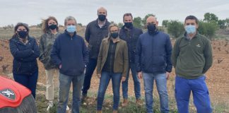 PP Castilla-La Mancha exige medidas urgentes para frenar los daños de conejos