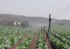 El Programa Nacional de Desarrollo Rural culmina con una ejecución del 99,32 % de los fondos previstos riego