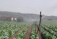 El Programa Nacional de Desarrollo Rural culmina con una ejecución del 99,32 % de los fondos previstos riego