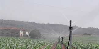 Confía en que fondos europeos impulsen decididamente la modernización de regadíos