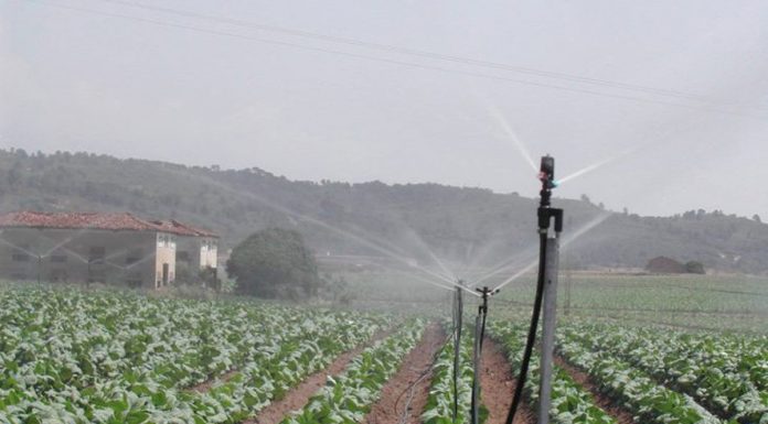El Programa Nacional de Desarrollo Rural culmina con una ejecución del 99,32 % de los fondos previstos riego