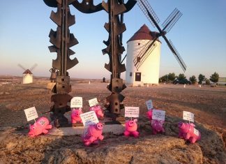 Satisfacción por denegación de licencia para una macrogranja porcina en Mota del Cuervo