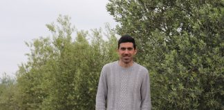 El suelo del olivar se perfila como gran aliado frente al cambio climático