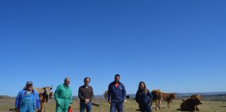 APAG se interesa por los ataques de los lobos en Guadalajara