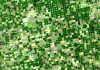 ¿Está tu municipio o cultivo incluido en la orden de reducción de módulos para agricultores y ganaderos? satélite