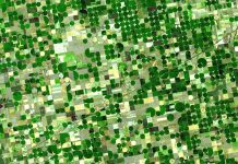 ¿Está tu municipio o cultivo incluido en la orden de reducción de módulos para agricultores y ganaderos? satélite