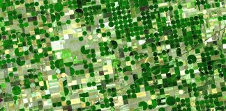 Las fotos geotiquetadas para la gestión de ayudas de la PAC serán voluntarias satélite