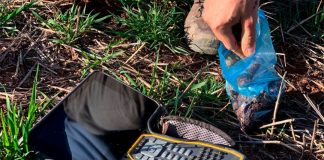 Cada agricultor deberá elaborar un plan de abonado a partir de 2024 abonado