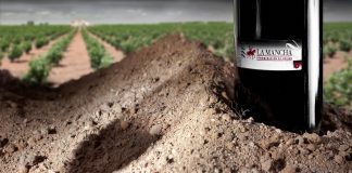 Denominación de Origen La Mancha convoca concursos de fotografía y carteles