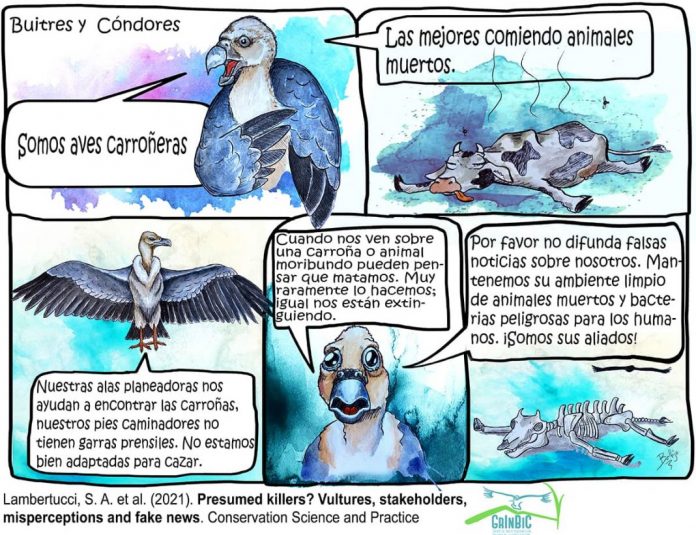 Foto-2_Buitres-presuntos-asesinos-ganado_IREC-1068x821