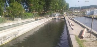 200.000 euros para el fomento de la acuicultura de Castilla-La Mancha