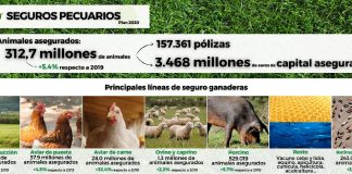 Agroseguro presenta el Plan 2021 de seguros pecuarios