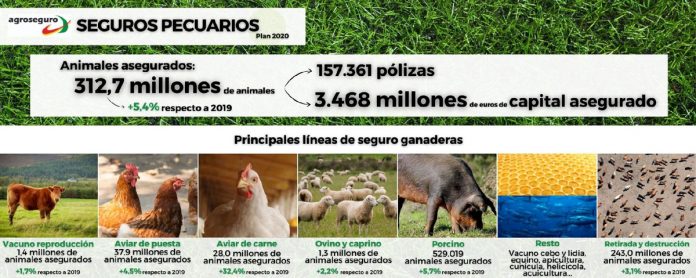 Infografía seguros pecuarios