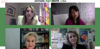 Pide más apoyo para que mujeres rurales puedan permanecer en pueblos