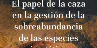 El papel de la caza en la gestión de la sobreabundancia de las especies cinegéticas