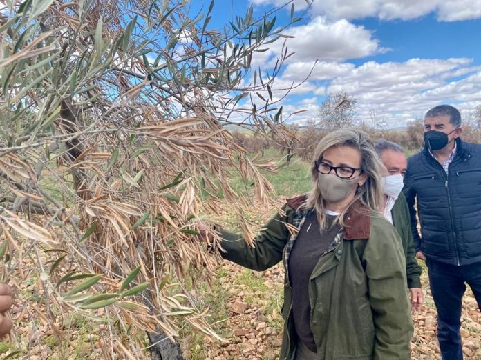 La portavoz del GPP en las Cortes de C-LM, Lola Merino, comprueba los daños ocasionados por la borrasca Filomena en Marjaliza