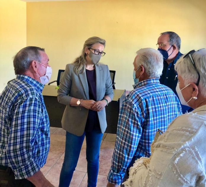 Merino en Villamuelas