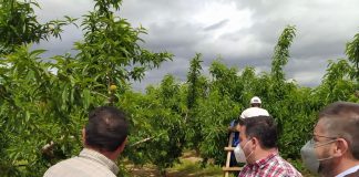 PP Castilla-La Mancha reclama a Gobierno regional que se centre en problemas de agricultores