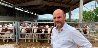 Ricard Godia, nuevo presidente de la Asociación Nacional de Productores de Vacuno de Carne
