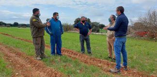 APAG se une a la petición de moratoria para los megaparques solares