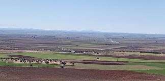 El precio de arrendamiento de una hectárea agrícola fue de 157 euros en 2020