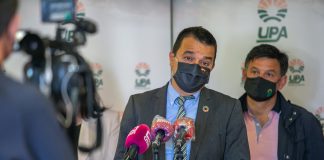 Castilla-La Mancha recuperará el potencial productivo de los olivares afectados por Filomena con un plan específico de 18 millones de euros