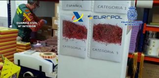 Desarticulada organización criminal dedicada a venta fraudulenta de azafrán en Castilla-La Mancha